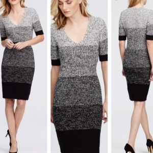 Ann Taylor Ombre Marled Sweater Dress